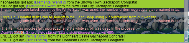 צילום מסך 2025-11-05 081324.png