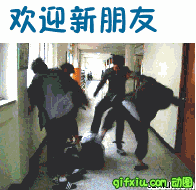 010051.gif