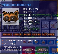 10 Int Raccoon Mask.jpg