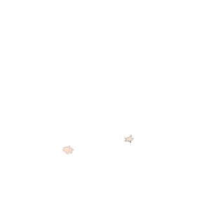 11.png