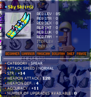 120 14 ski.png