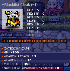 13.png