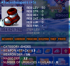 13fs.PNG