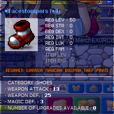 13fs.png