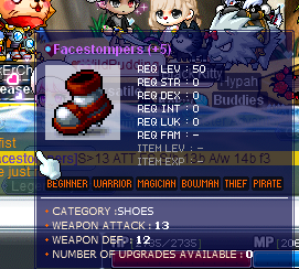 13fs.png