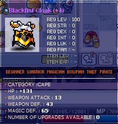 13wa bfc.JPG