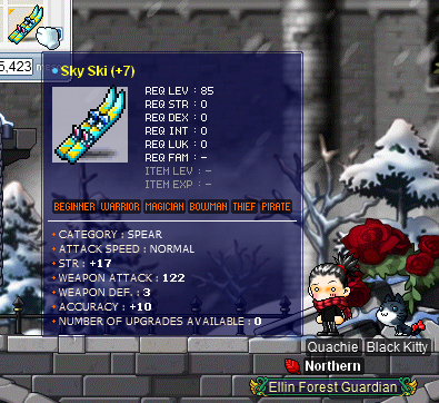 17 122 skis.png