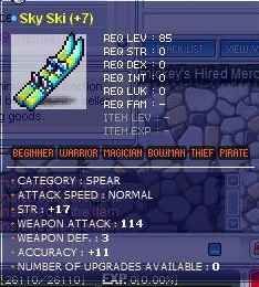17str 114wa ski.jpg