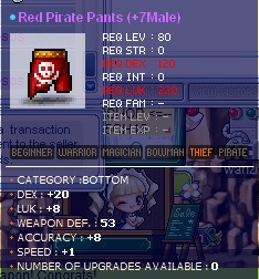 20-8malethiefpants.jpg