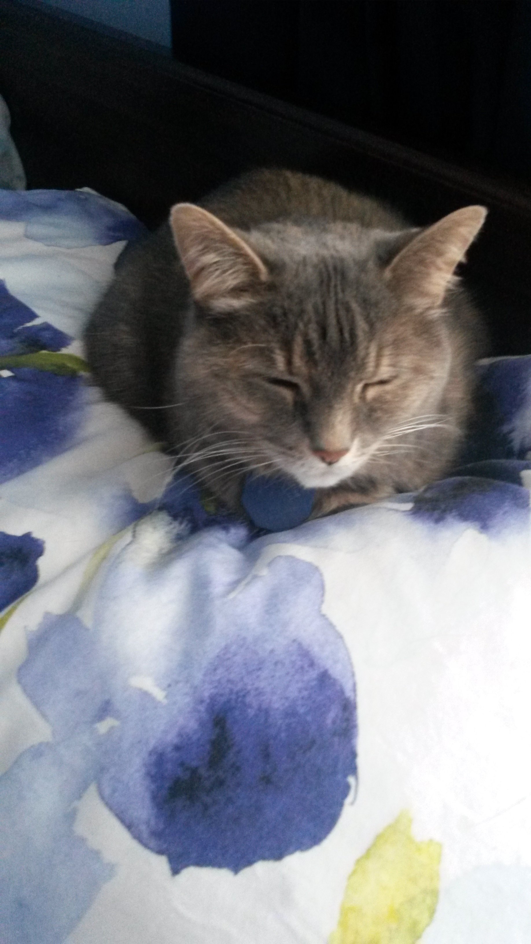 20170201_082032.jpg