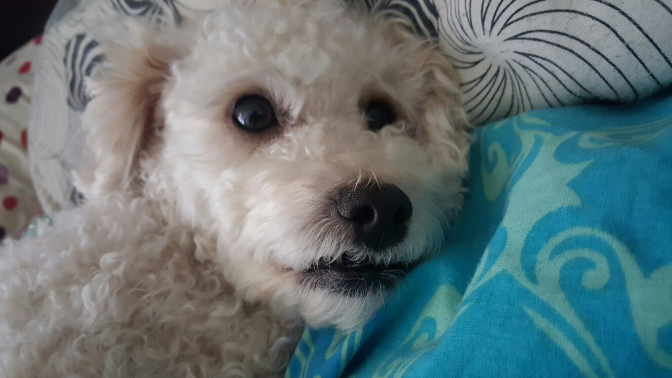 20170913_111755.jpg