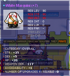 35_5_pioneer.png