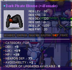 5 19 Pirate Blouse.png