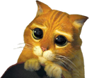 5963-shrek-cat.png