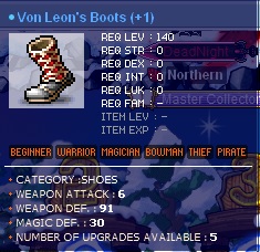 6-5VLboots.jpg