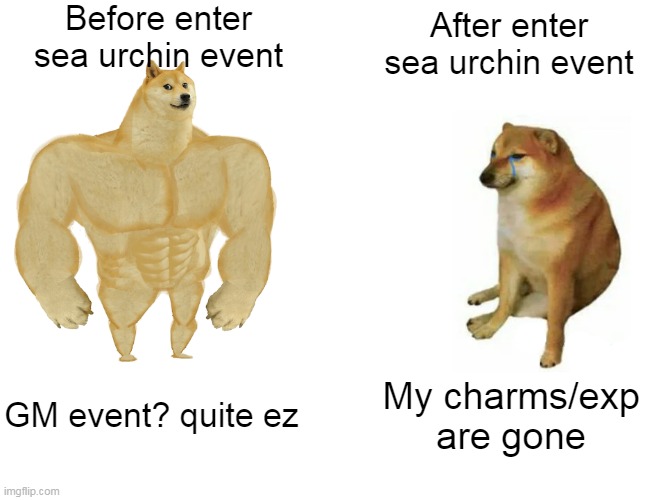 a5zb6e.jpg