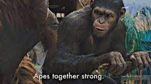 apes together strong.PNG