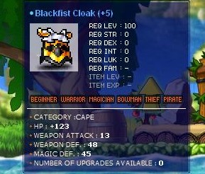 Blackfist Cloak WA 13.jpg