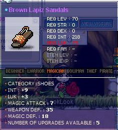 Brown Lapiz Sandals.png