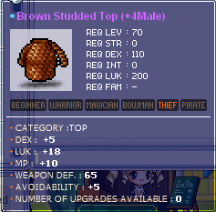 brownstuddedtop.png