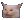 cat-1.png.png