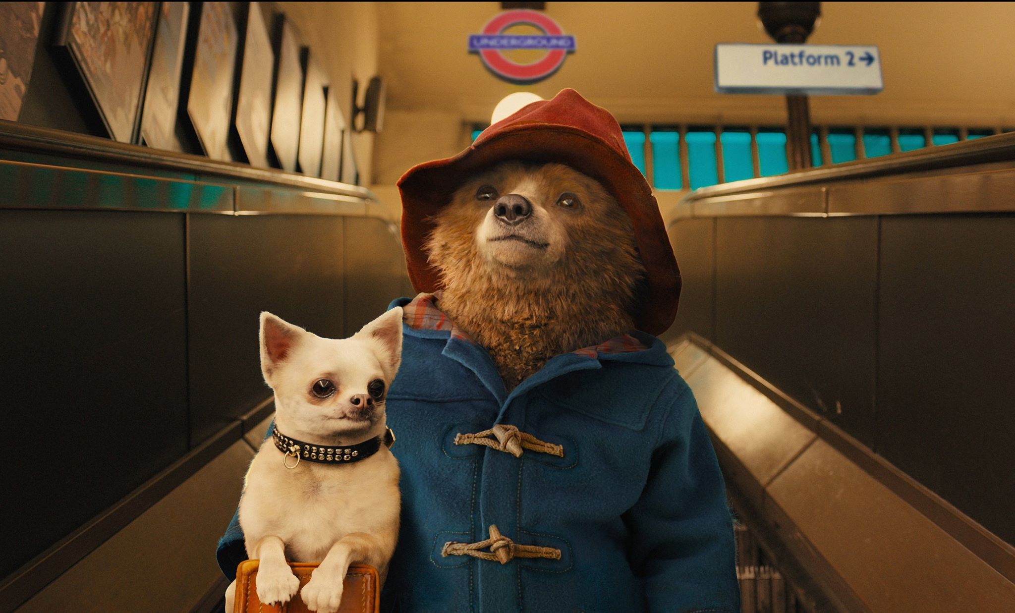 classicpaddington.jpg