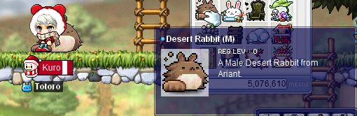 Desert Bunny.JPG
