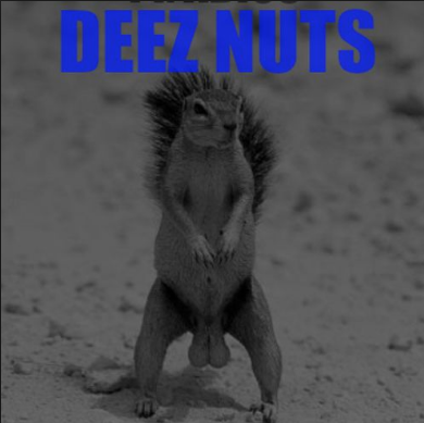 DIZNUTS.png