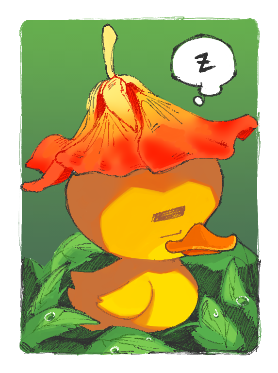 ducke.png