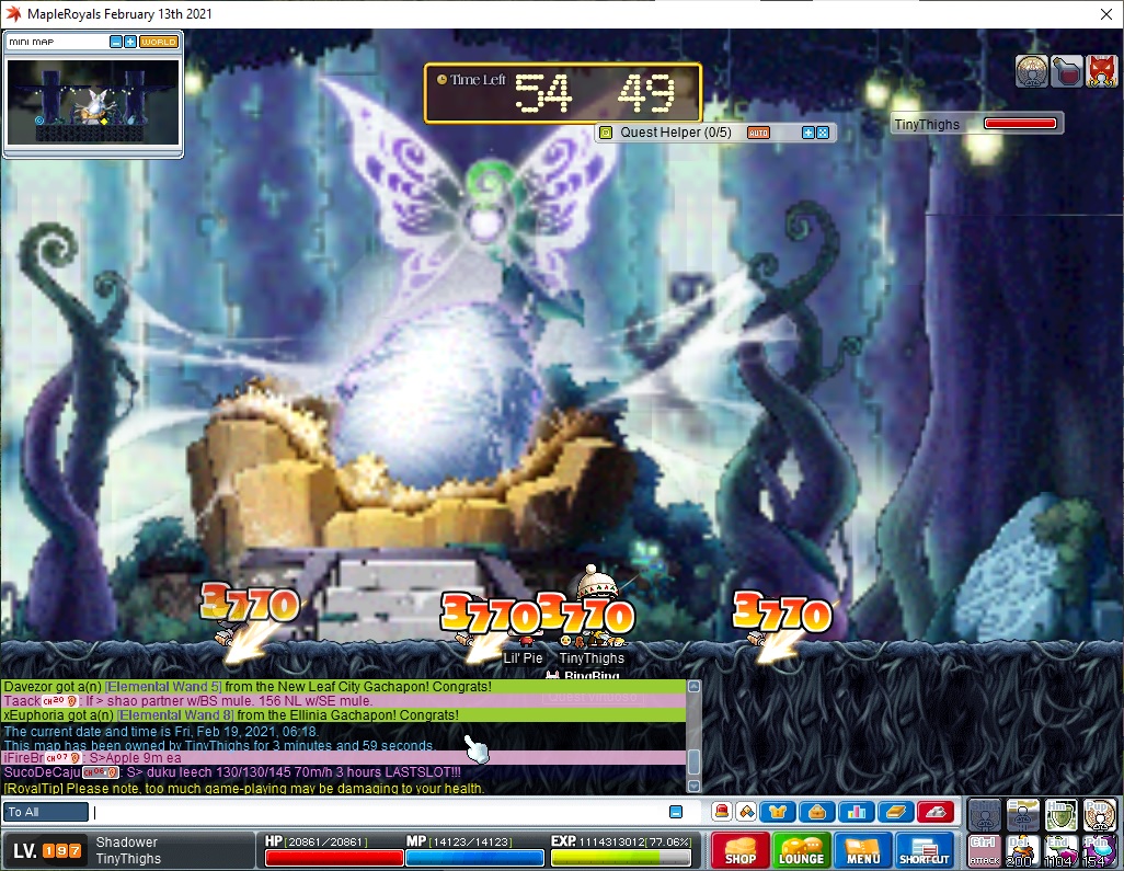 ephenia bug with NA.jpg