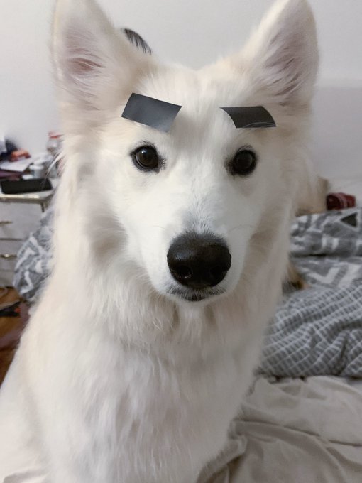 EXeVx6XUMAADRU_.jpg