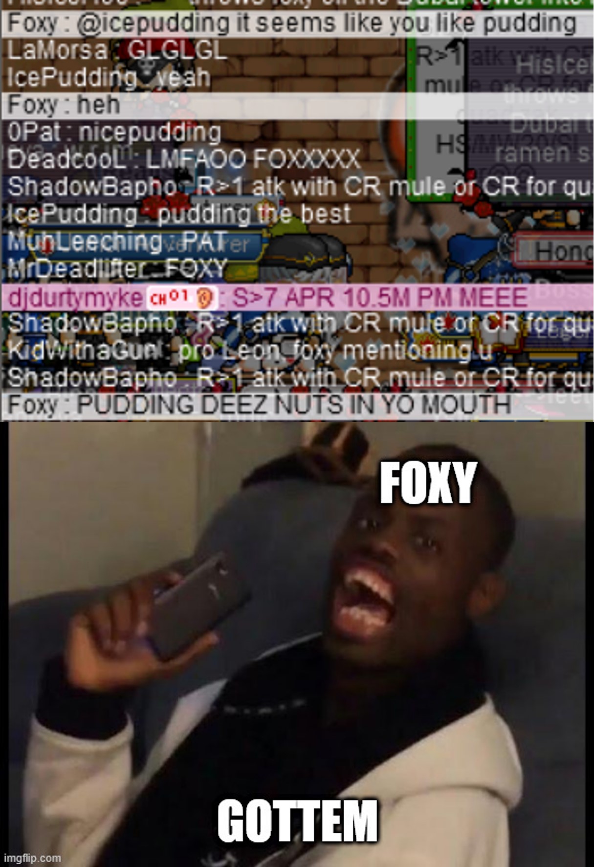 Foxy DN.jpg