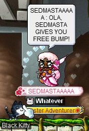 free bump.jpg