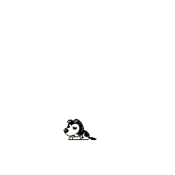 front-frame11-500ms.png