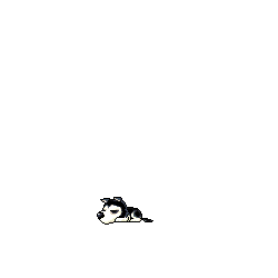 front-frame7-100ms.png