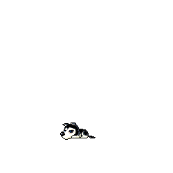 front-frame8-500ms.png