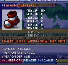 fs.PNG