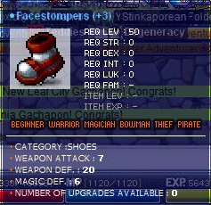 fs.PNG