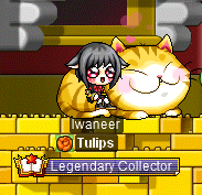 fuzzy_cat.png