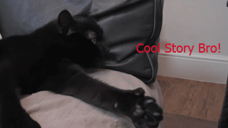 giphy (1).gif