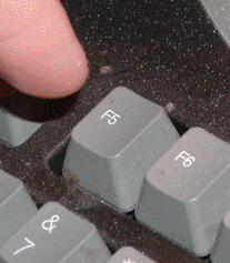 giphy (2).gif