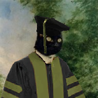 gradcat.png