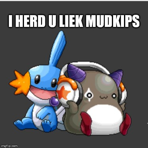 I Herd U Liek Mudkips.jpg