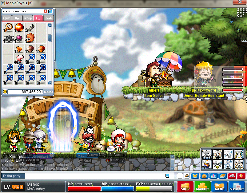 I love Maplestory.png