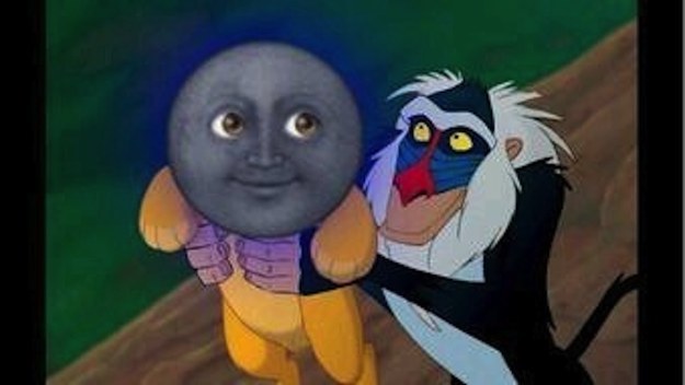 image.jpeg