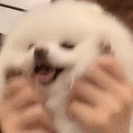 Image_1694758187498.gif