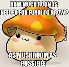 images (29).jpeg
