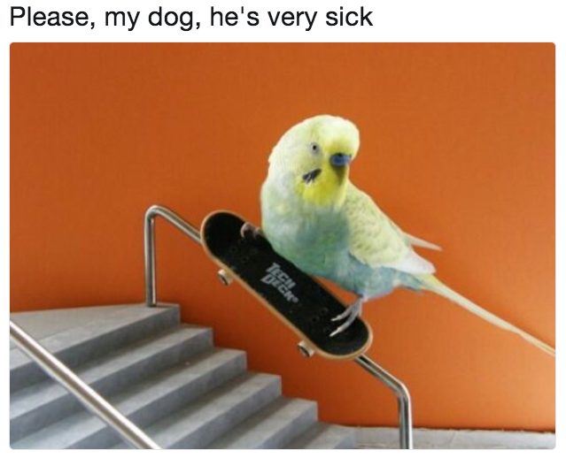 IMG_5384.png