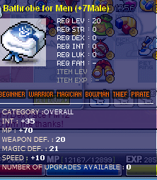 int35robe.PNG