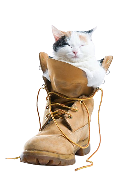 istockphoto-96083170-612x612-removebg-preview.png